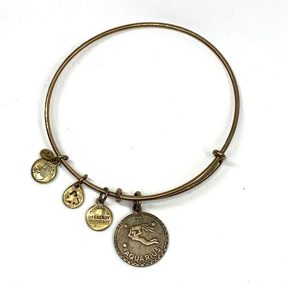 Alex and Ani Aquarius Zodiac Sign Charm Bracelet Gold - Expands 2"- 3.5" - Picture 1 of 2